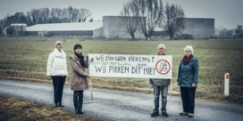 De Standaard wint Belfius-persprijs voor ‘De veefabrieken’
