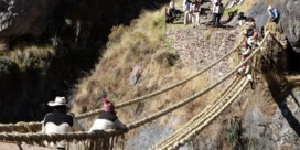 Peruvianen weven 500 jaar oude Incabrug met de hand weer aan elkaar