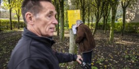 Samen in beroep gaan kost plots veelvoud
