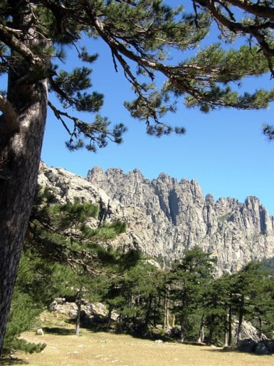 Corsica, een paradijs voor natuurliefhebbers en wandelaars