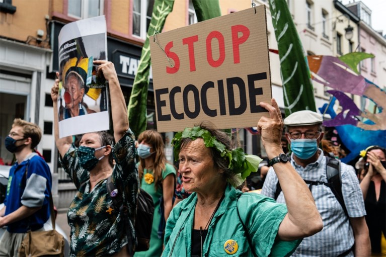 Honderd actievoerders in Brussel voor strafbaar maken ecocide