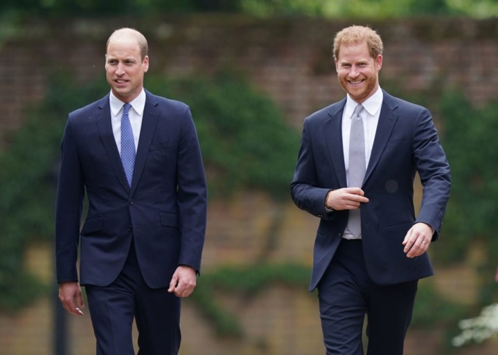 William en Harry onthullen standbeeld Diana
