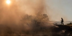 ‘Ergste natuurbrand’ op Cyprus na 48 uur onder controle