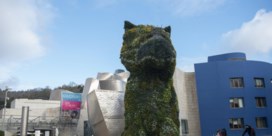 Guggenheim Bilbao zoekt geld voor ‘Puppy’