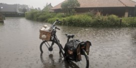 Nieuwpoort moet 60 liter water in uur tijd slikken: ‘Nooit meegemaakt dat deze wijk onder water staat’