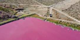 Meer in Patagonië kleurt roze door vervuiling