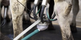 Boeren dreigen met acties tegen lage melkprijs