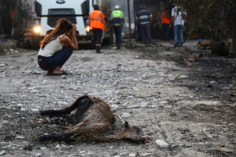 Vier doden tijdens bosbranden in Turkse badplaats, toeristen geëvacueerd