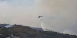 Albanië krijgt dodelijke bosbranden onder controle