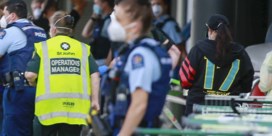Steekpartij in Nieuw-Zeeland had terroristisch motief