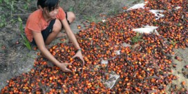 Rijden op soja- en palmolie stopt vanaf 2023