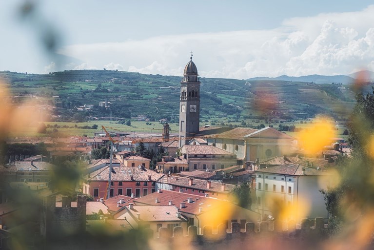 Vier routes in de mooiste Italiaanse wijnstreken