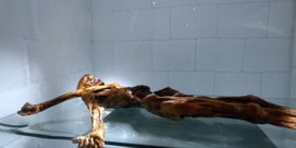 30 jaar geleden werd ijsmummie Ötzi gevonden in de Zuid-Tiroler Alpen