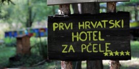 Familie in Kroatië opent vijfsterrenhotel voor bijen