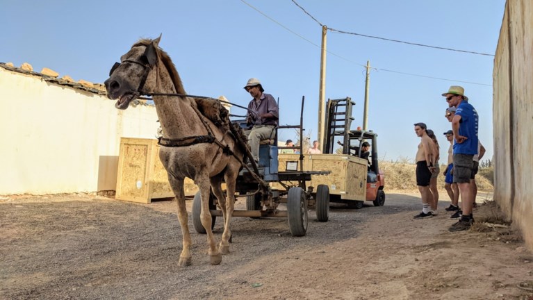 Leuvense zonnewagen met paard en kar toegekomen in Marokko voor nieuwe Solar Challenge