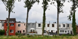 Stad kocht al 41 woningen om werfzone voor Oosterweelverbinding te realiseren