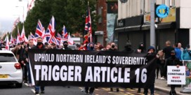 Noord-Iers DUP-parlementslid: ‘Had ik dit geweten, ik had nooit voor de Brexit gestemd’