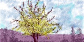 Dé peppil tegen de herfstblues? De schilderijen van David Hockney in Bozar