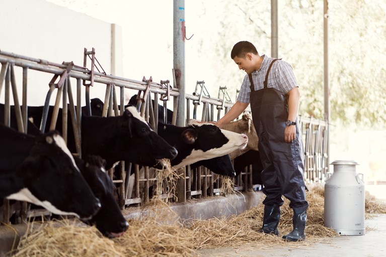 Uitgerekend: zoveel kost het om één liter melk te produceren