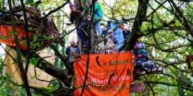 UGent dient klacht in tegen studenten die bos bezetten