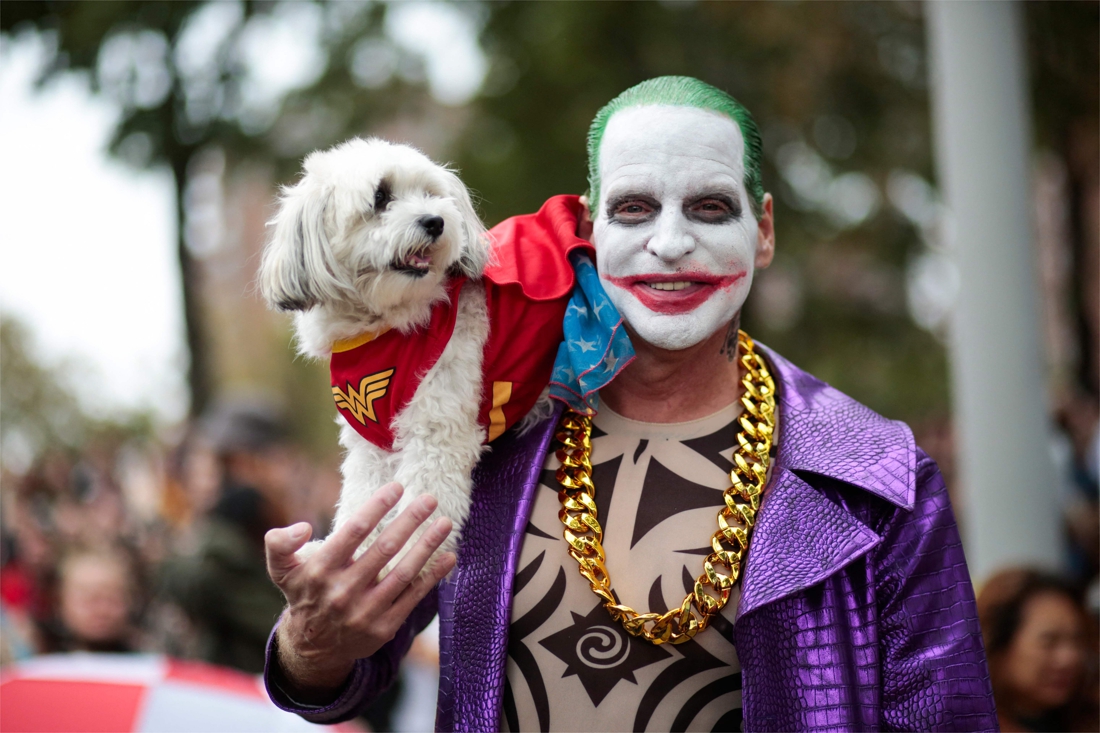 Four-legged friends in cheerful outfits parade through New York