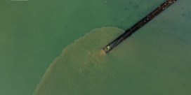 Drone filmt hoe zuiveringsstation rioolwater naast natuurgebied in zee pompt