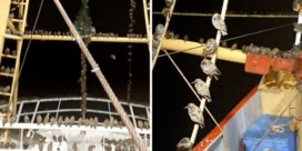 Honderden spreeuwen rusten uit op vissersboot in Noordzee