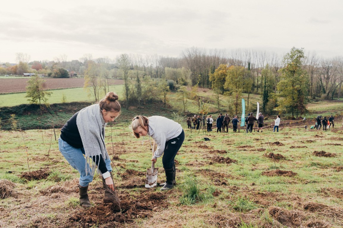 mechanisme Raad Hoofdstraat Vlaanderen wordt deze winter 350 hectare bos rijker, maar klimaatbossen zijn het niet | De Standaard Mobile mechanisme Raad Hoofdstraat Vlaanderen wordt deze winter 350 hectare bos rijker, maar klimaatbossen zijn het niet | De Standaard Mobile