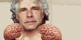 Volgens Steven Pinker gaat het best goed met de wereld 