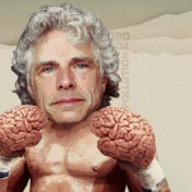 Volgens Steven Pinker gaat het best goed met de wereld 