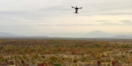 Hier zetten ze drones in om afgebrande bossen te herplanten