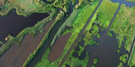 Erbarmelijke waterkwaliteit in West-Vlaanderen, het gevolg van politieke keuzes
