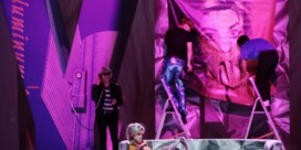 Gus Van Sant slaat bal mis in Warhol-musical