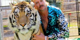 Wat de Netflixhype ‘Tiger king’ zegt over de Amerikaanse celebritycultuur