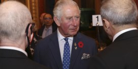 Prins Charles ontkent zich druk gemaakt te hebben over huidskleur van prins Archie