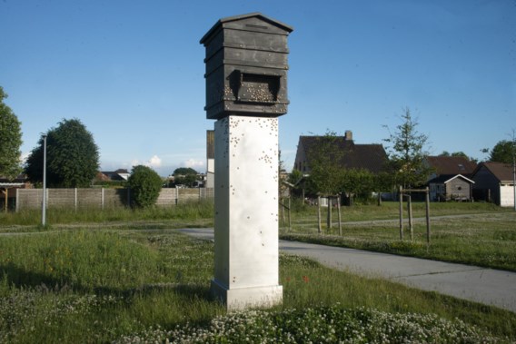 Gemeente Zedelgem verwijdert omstreden oorlogsmonument na internationaal advies