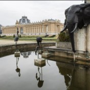 Belg die fortuin verdiende met woekerprijzen in Congo sponsort AfricaMuseum  