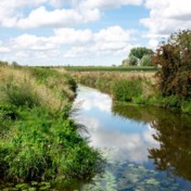Voor pesticiden in het water is Vlaanderen barslechte leerling