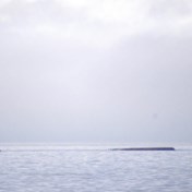 Vrachtschip ondersteboven na botsing nabij Zweden   