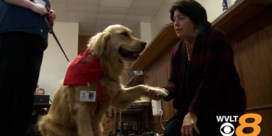 Hond legt eed af om kinderen te helpen in rechtbank
