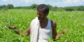 EU zet Indiase voedselkeurders op zwarte lijst   