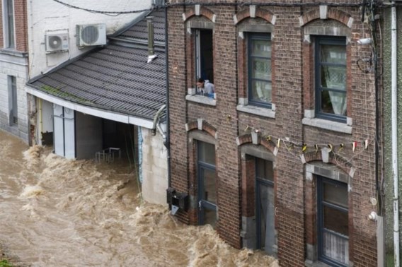 Herontdek tien van onze beste verhalen over klimaat en milieu