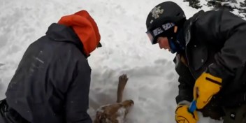 Skiërs redden hond die door lawine gegrepen werd  