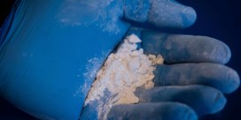 Opnieuw jaarrecord inbeslagnames cocaïne in haven van Antwerpen  