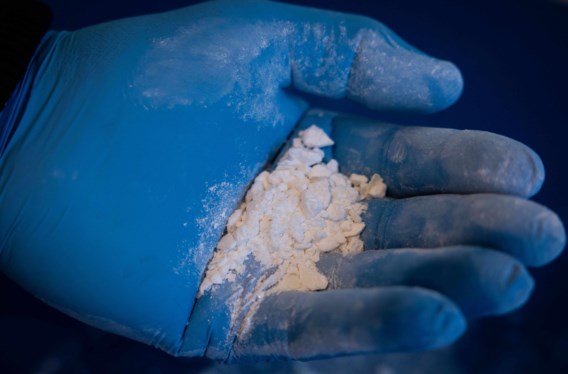 Opnieuw jaarrecord inbeslagnames cocaïne in haven van Antwerpen