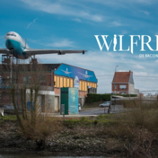 Nederlandstalige editie ‘Wilfried’ houdt er al na vier nummers mee op  