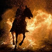 Paarden trotseren vreugdevuur tijdens oeroude Spaanse ceremonie  