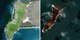 Voor en na: satellietbeelden geven eerste indruk van impact vulkaanuitbarsting Tonga  