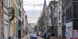 Antwerpse Provinciestraat ondergaat   dit voorjaar groene metamorfose  