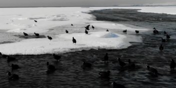 Zeldzaam: grootste zoutwatermeer in Turkije bevroren  